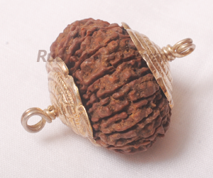 19 Mukhi(Face)Rudraksha