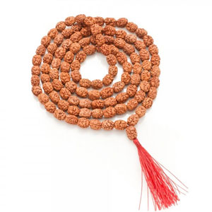 Rudraksha