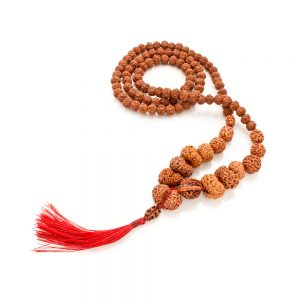 Rudraksha