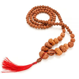 Rudraksha