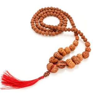 Rudraksha